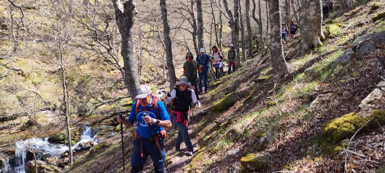 WhatsApp Image 2026-04-08 at 07.40.56